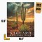 Saguaro National Park Jigsaw Puzzle, Family Game, Holiday Gift | S10 product 3